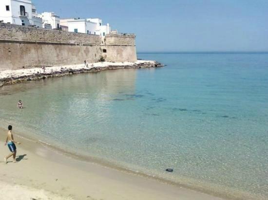 My Monopoli -Casa Dei Fiori Suite "Tulipano Nero" Centro Storico Eksteriør bilde
